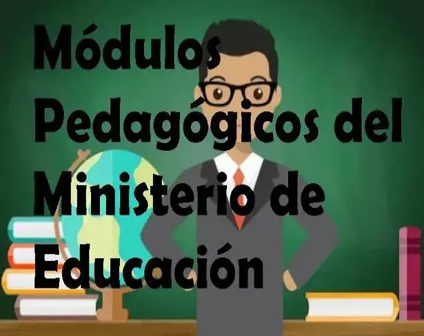 módulo pedagógicos ministerio educación