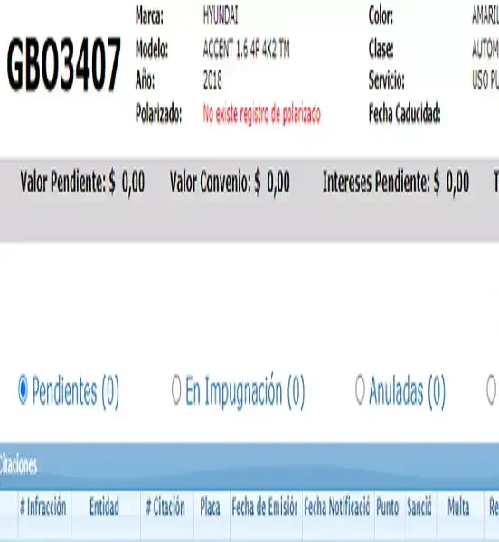 consultar permiso de polarizado