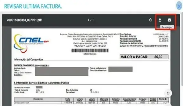 consulta pago planilla cnel
