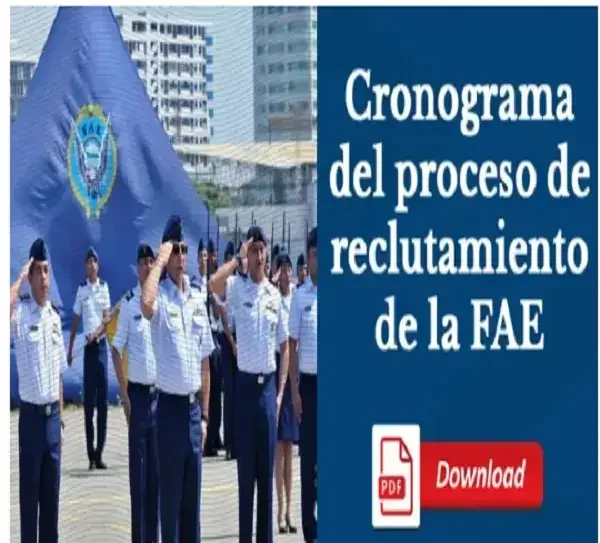 cronograma fae