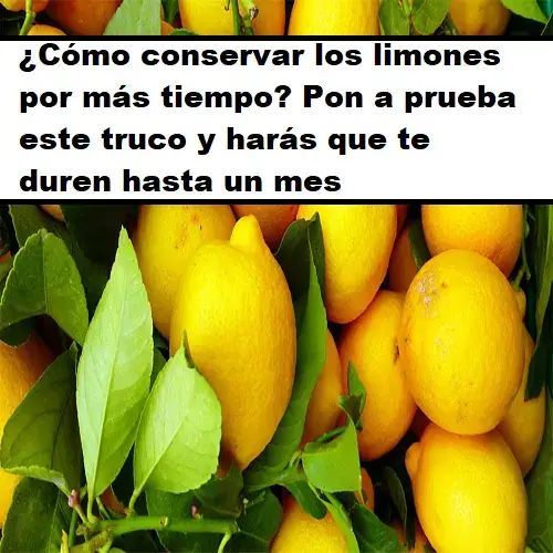 cómo conservar limones