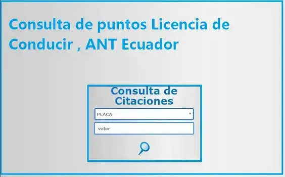 consulta puntos licencia conducir ecuador