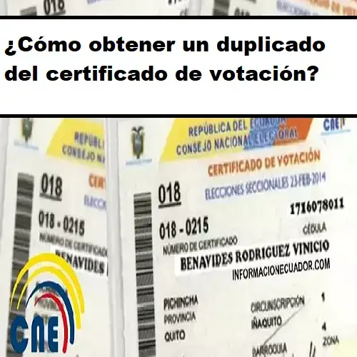 obtener un duplicado certificado votación