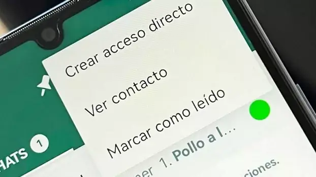 cómo eliminar el círculo verde de los chats de WhatsApp