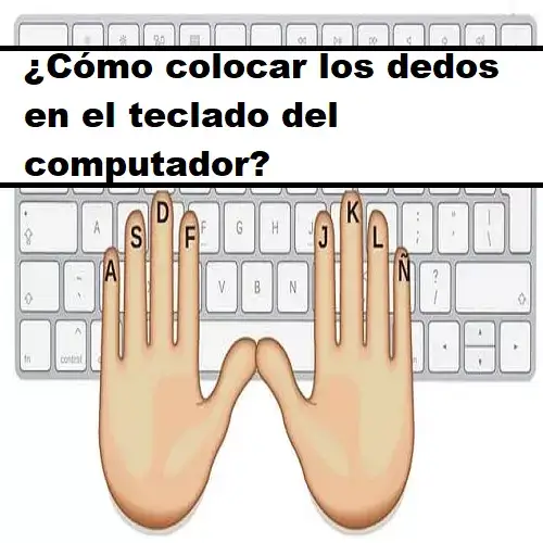 dedos en el teclado