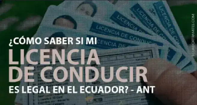 -licencia-conducir-legal-ecuador