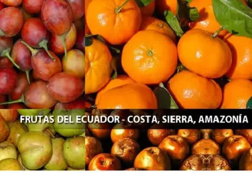frutas de la costa sierra y oriente del ecuador