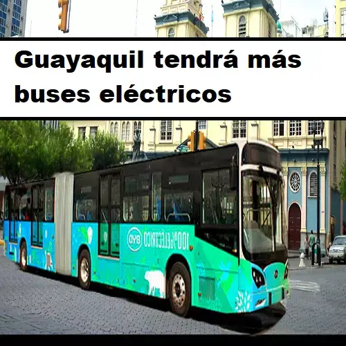 guayaquil tendrá más buses