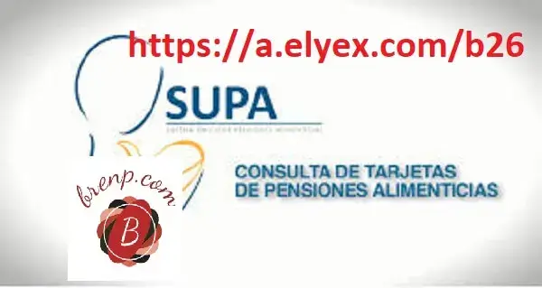 Pensión Alimenticia SUPA Consejo de la Judicatura Ecuador