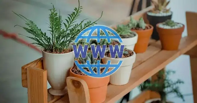aprende a cuidar tus plantas con estas 5 webs