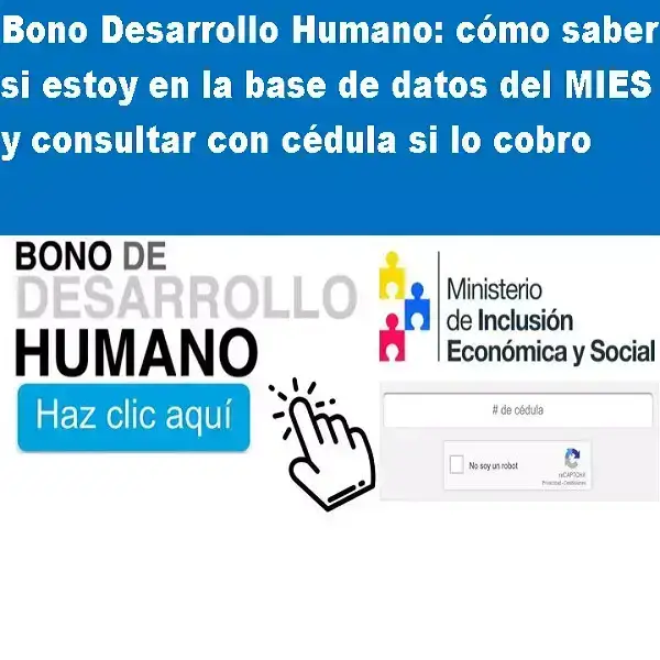 Consulta del Bono de Desarrollo Humano por cédula MIES