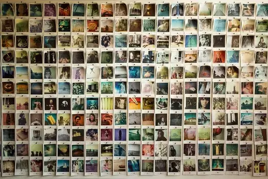 organizar tu colección de fotografías en google fotos