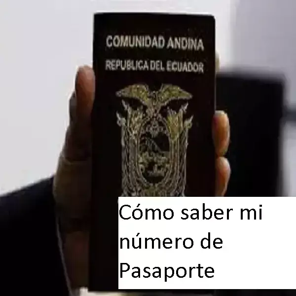 cómo saber mi número de pasaporte