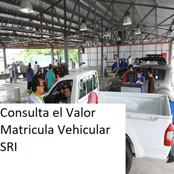 Consulta el Valor Matricula Vehicular SRI