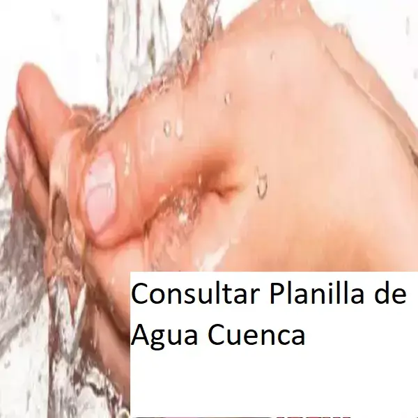 Consultar Planilla de Agua Cuenca