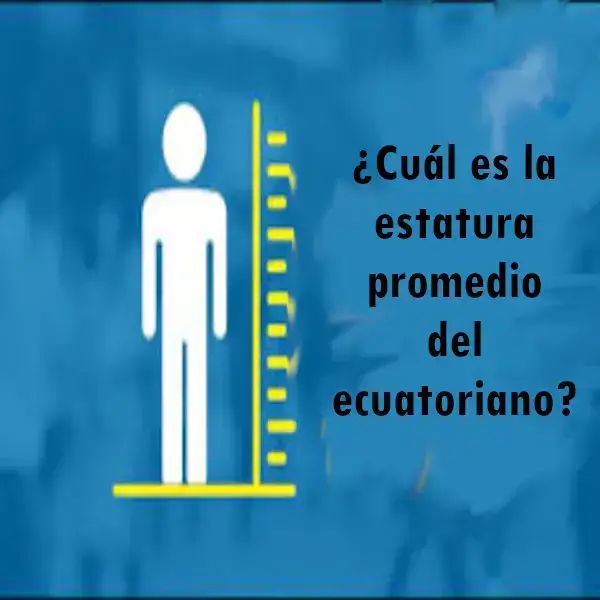 Cuál es la estatura promedio del ecuatoriano