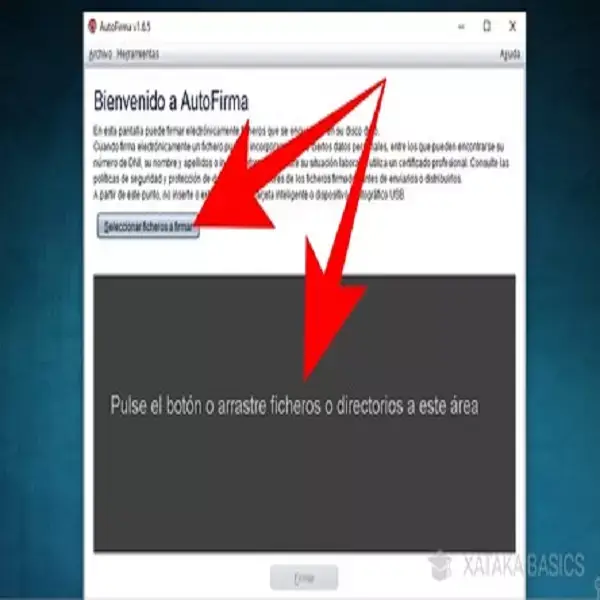 Como Usar Autofirma
