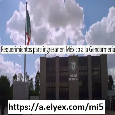 Requerimientos para ingresar en México a la Gendarmería