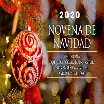 Novena de Navidad 2020: Tercer Día Visitación