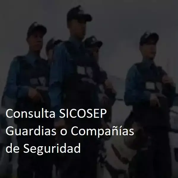 Consulta-SICOSEP-Guardias-o-Companias-de-Seguridad-1-1-1