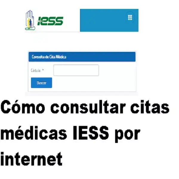 Como-consultar-citas-medicas-IESS-por-internet