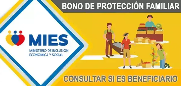 Consulta-y-pago-del-bono-de-contingencia-Bono-de-proteccion-familiar