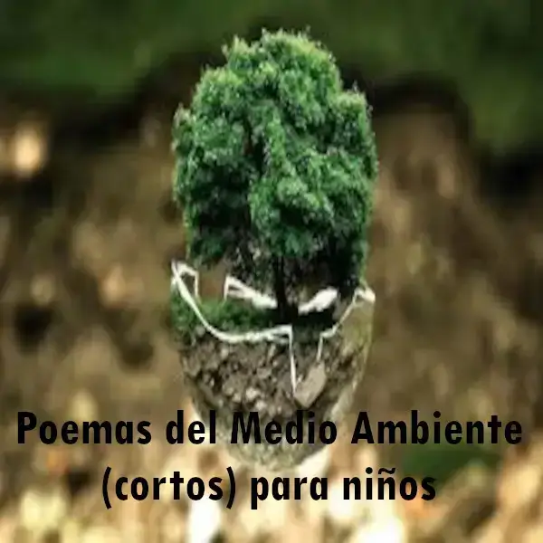 Poemas del Medio Ambiente cortos para niños