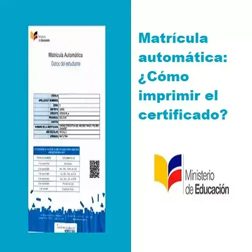 Imprimir Certificado de matrícula automática del Ministerio de Educación