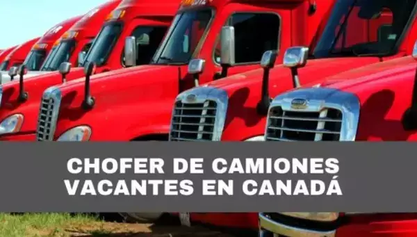 Trabajo de camionero en Canadá para Latinoamericanos