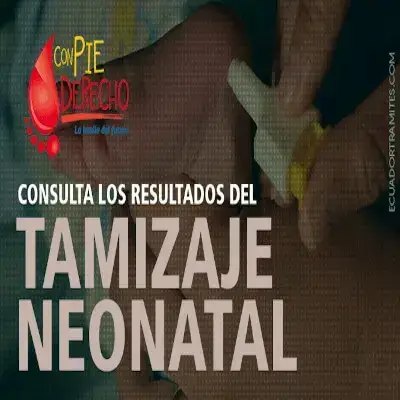 Revisa los Resultados de Tamizaje Neonatal MSP Ecuador