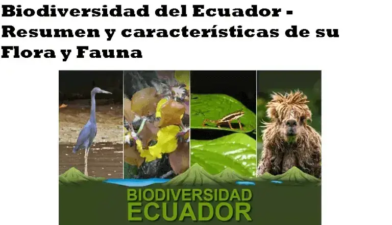 Biodiversidad del Ecuador - Resumen y características de su Flora y Fauna