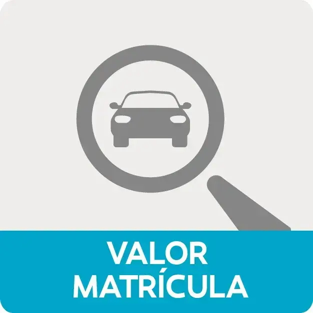 Consultar valor a pagar matrícula vehicular
