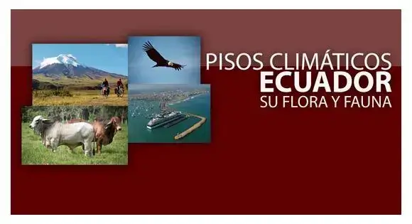 Pisos Climáticos del Ecuador - Flora y fauna
